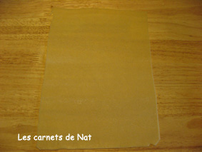 Cornes de gazelle-3